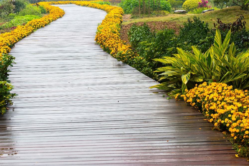 Kainráth András vagyok, a Complete Garden alapítója. Több mint 7 évvel ezelőtt kezdtem el kertészként dolgozni. Néhány éve úgy döntöttem, hogy elindítom a saját vállalkozásomat, amely hiánypótló szerepet tölt be a piacon.