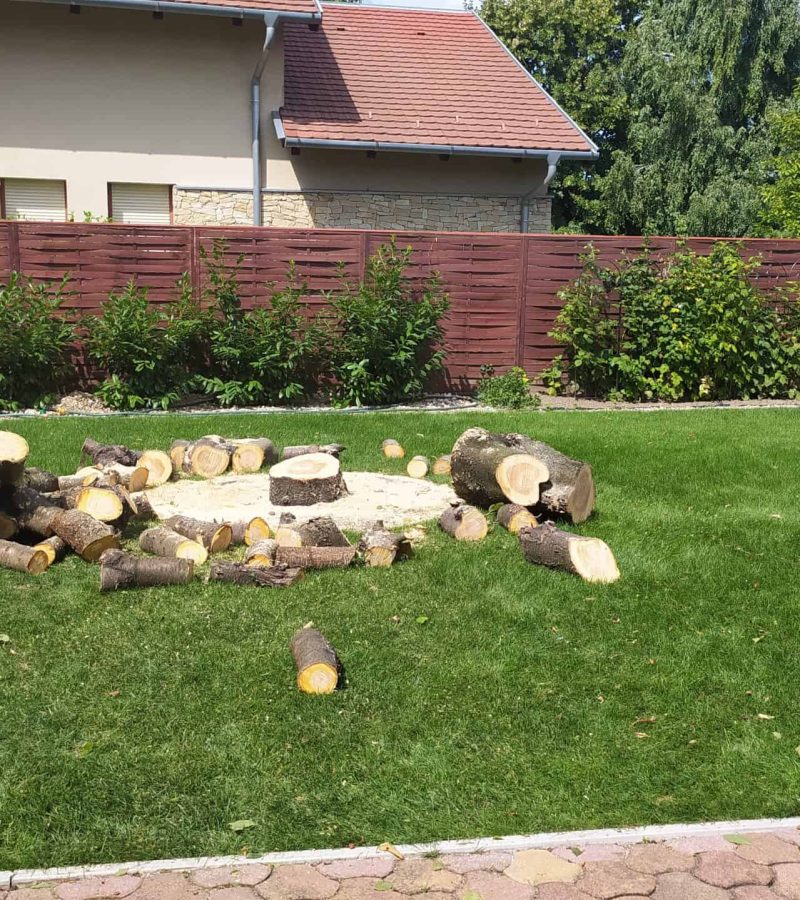 törzs feldarabolása